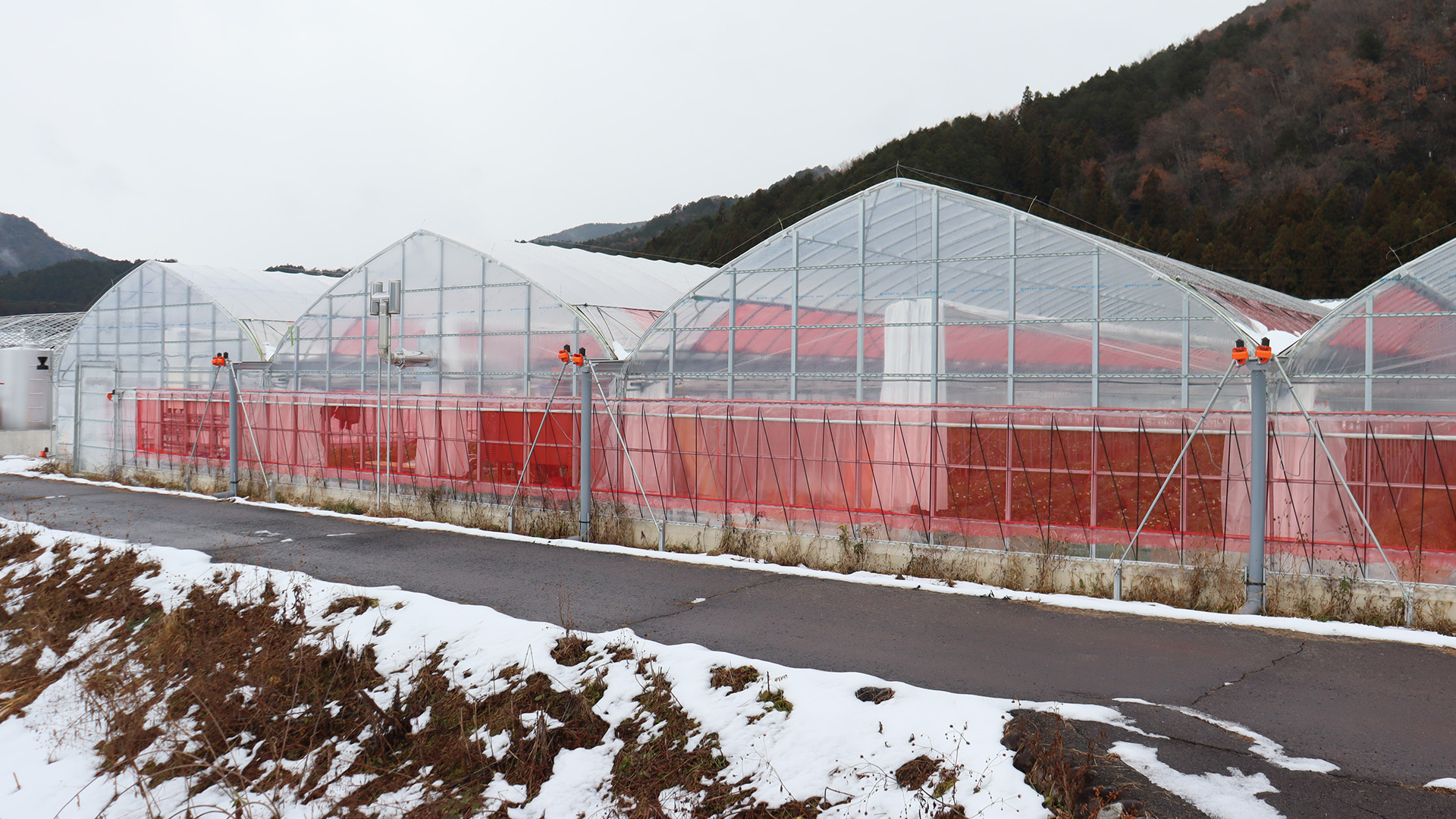 ビニールハウス